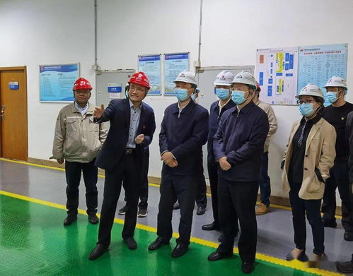 省人大常委會赴我區調研固體廢物污染治理工作