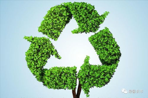 固廢治理 環保產業的核心賽道，聚焦四大潛力龍頭企業